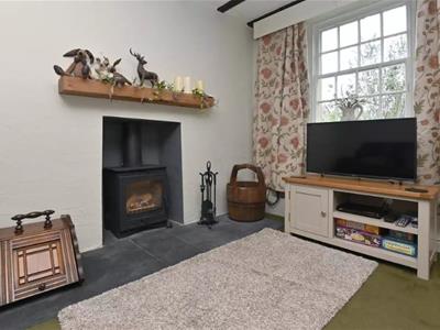 Picture 7